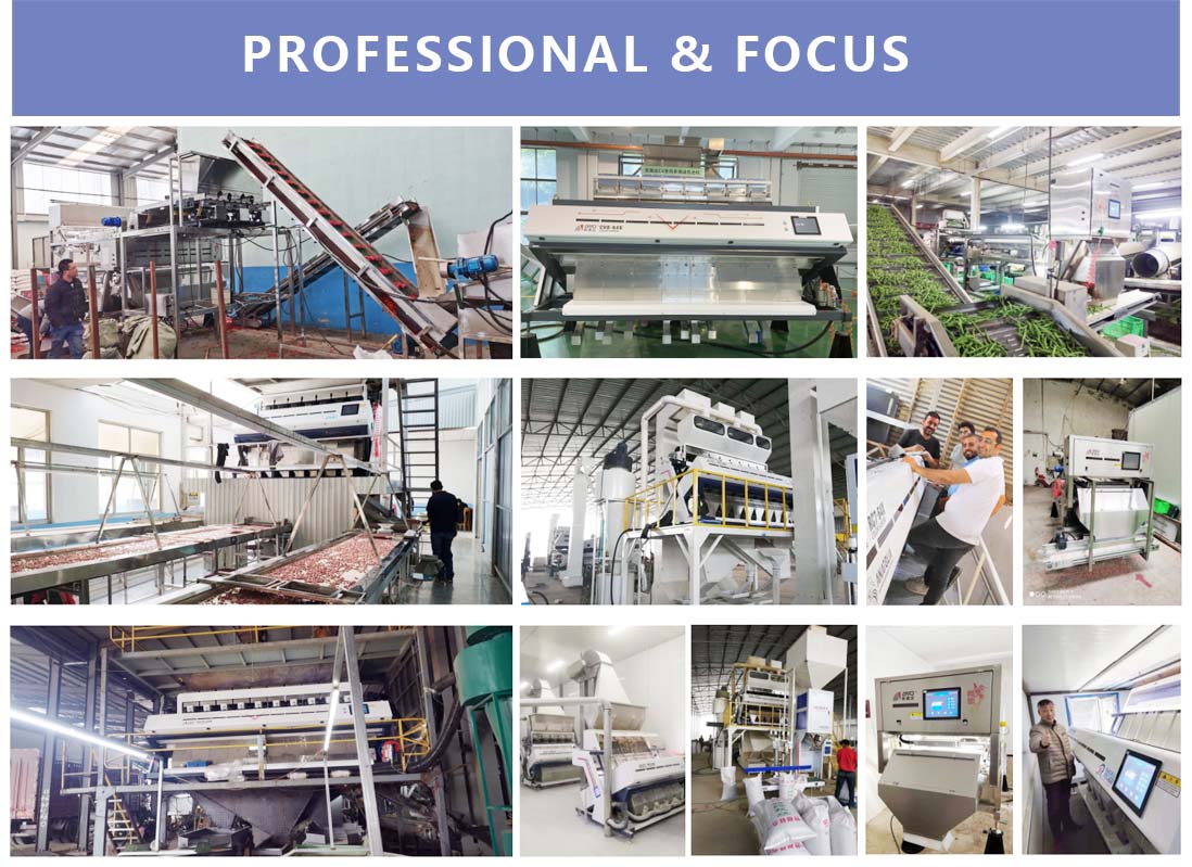 AMD beans, seeds, peanuts sorting machine