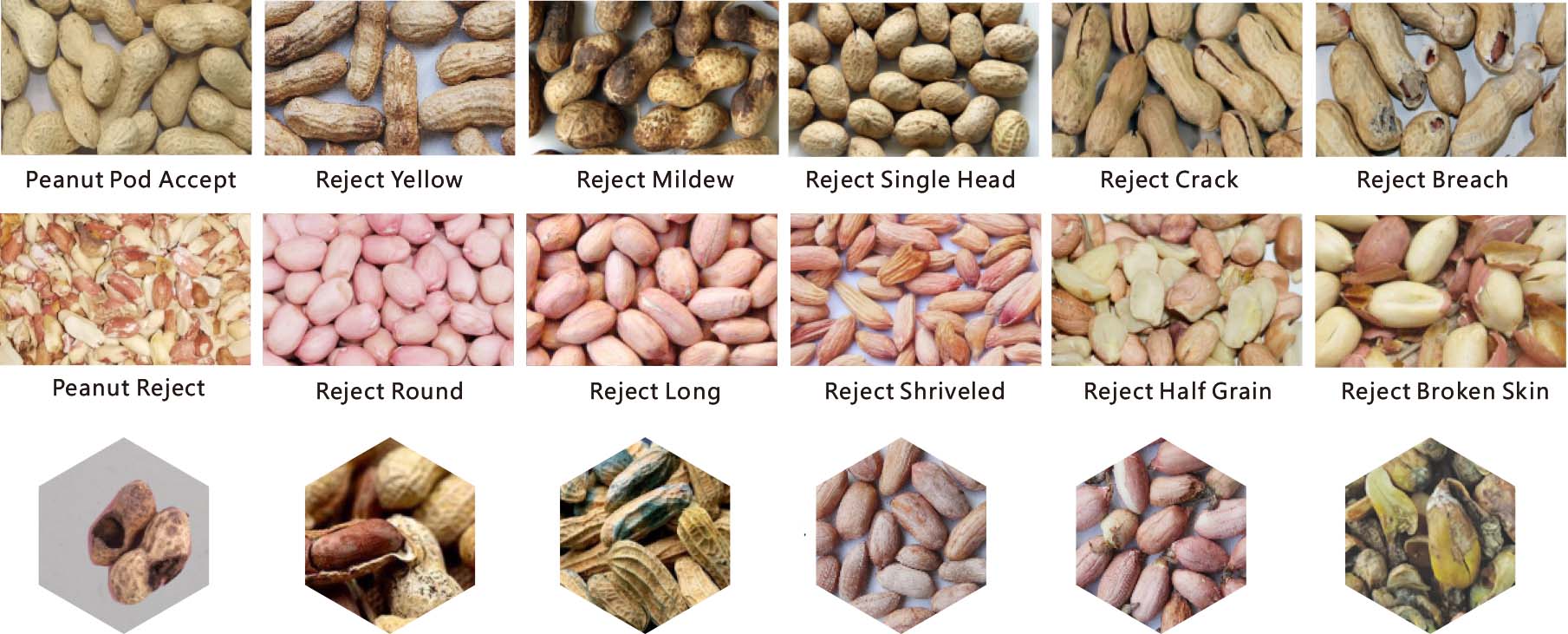 peanut color sorter machine