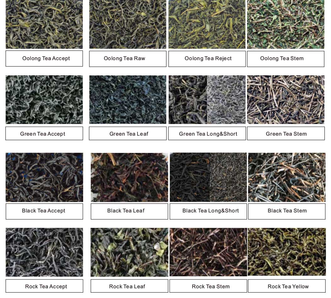 AMD&reg; Two-Stage Tea Grading Machine