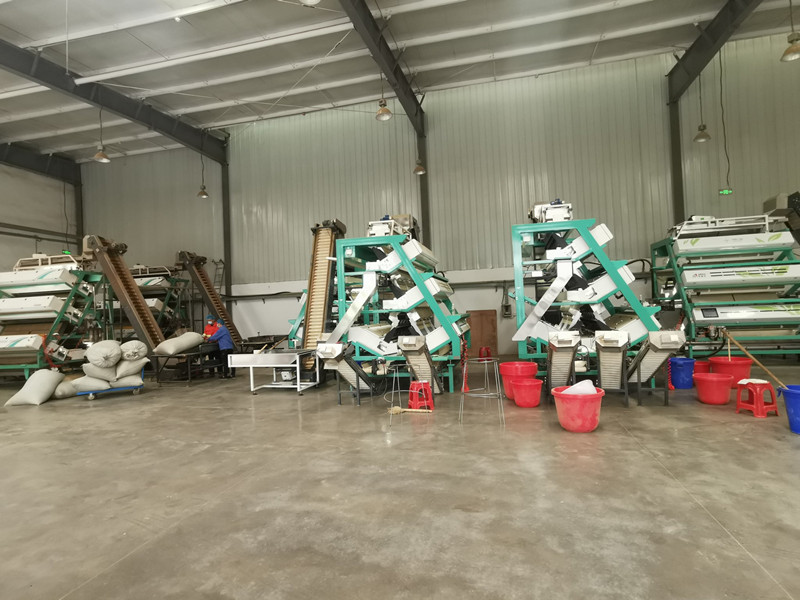 AMD tea sorting machine AMD tea sorting machine
