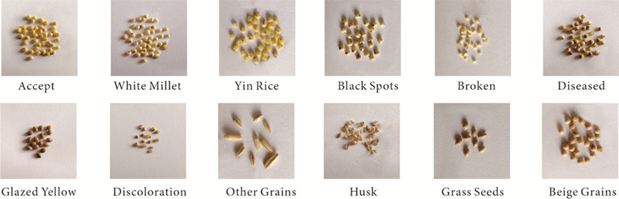 millet sorting machine millet sorting machine