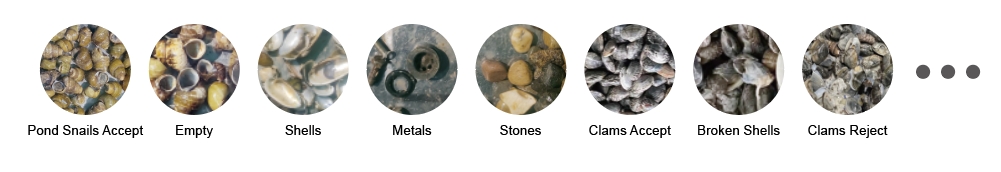 seafood sorting machine seafood sorting machine