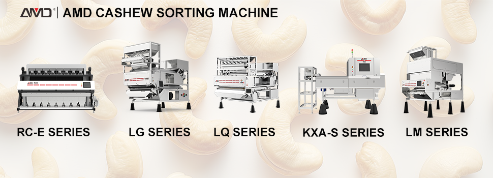 AMD cashew sorting machine