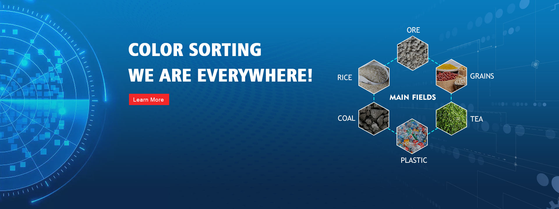 Color Sorter Manufacturer