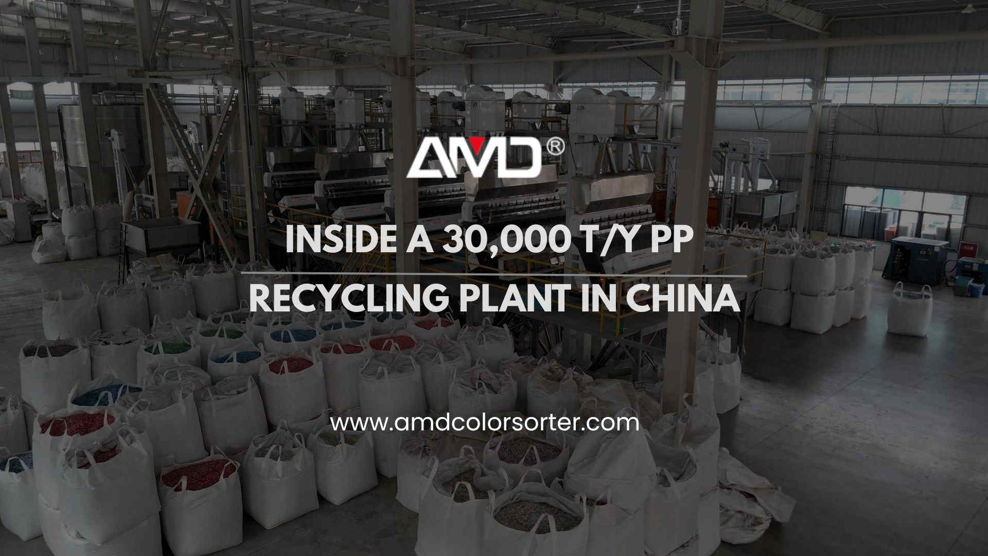 Inside a 30,000 T/Y PP Recycling Plant with AMD Plastic Sorting Tech