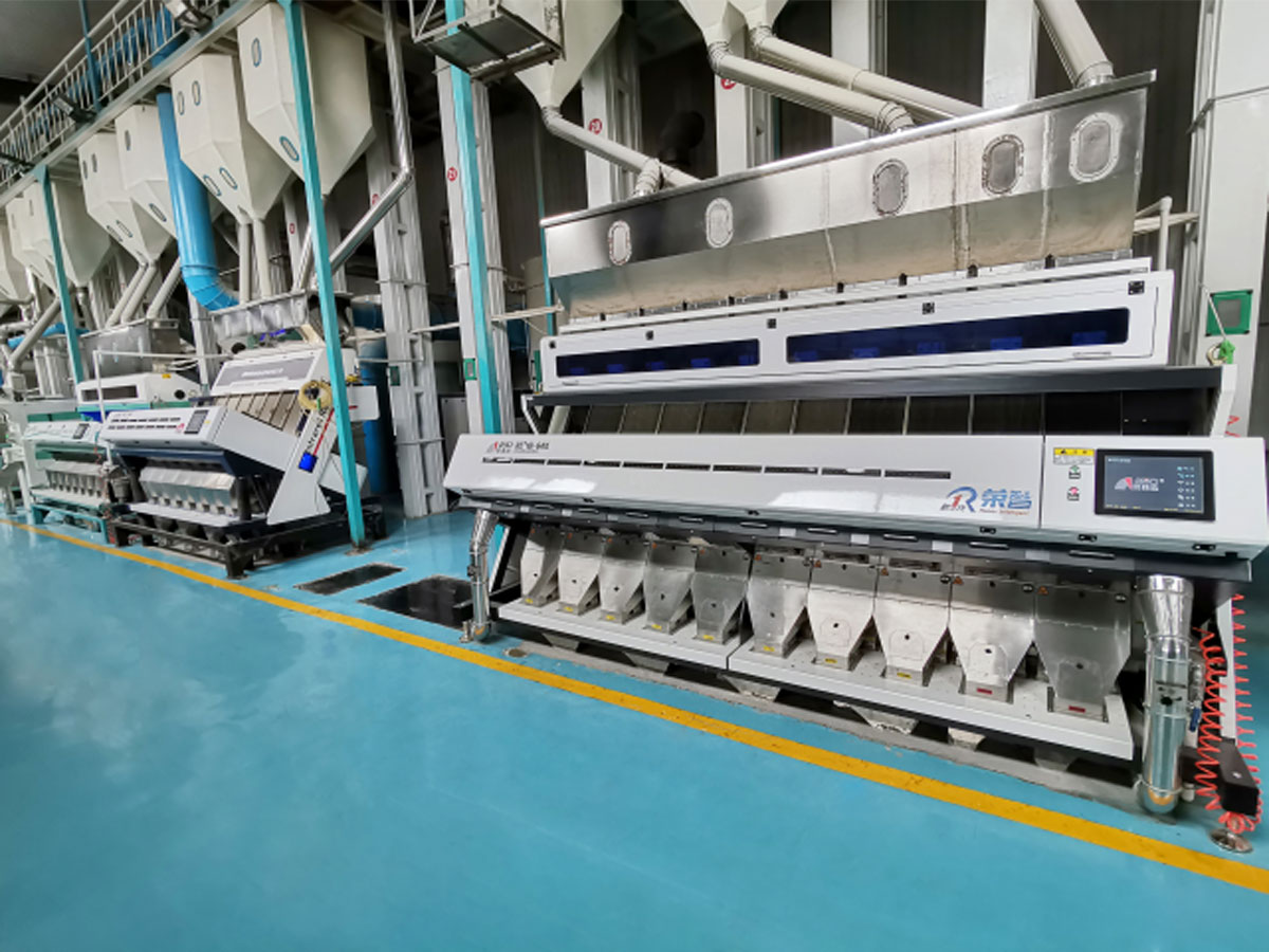 RZ Series Rice Color Sorter Installations
