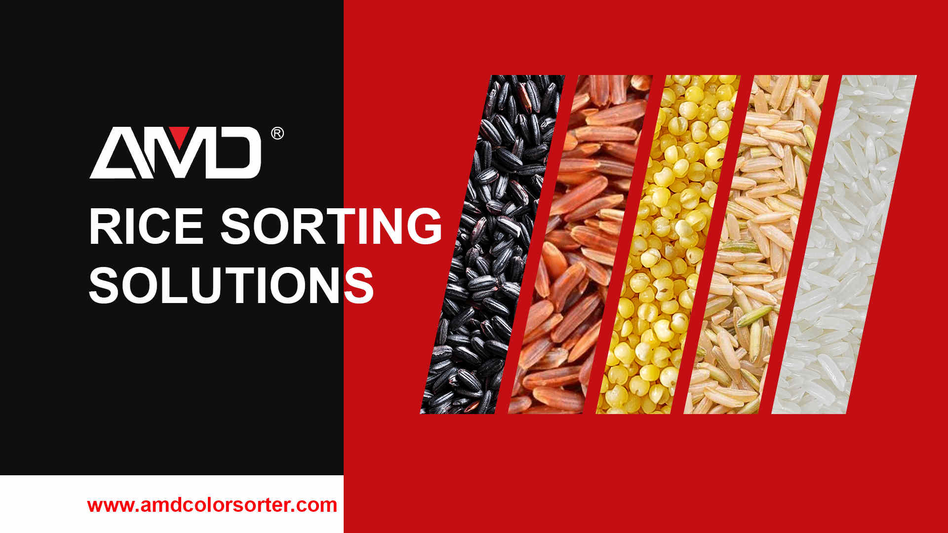 AMD® Rice Color Sorting Machines & Solutions— Choose the World's Top Brand
